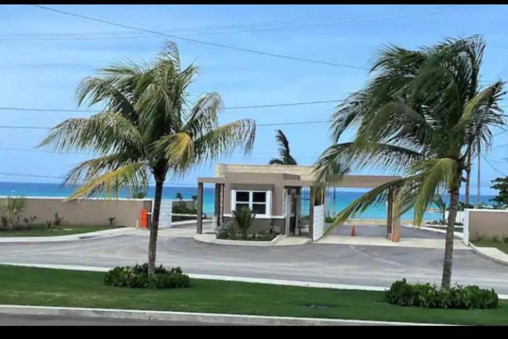 PointNatty’s Cozy Beach house in Hanover Jamaica的两棵棕榈树在海洋前的房屋