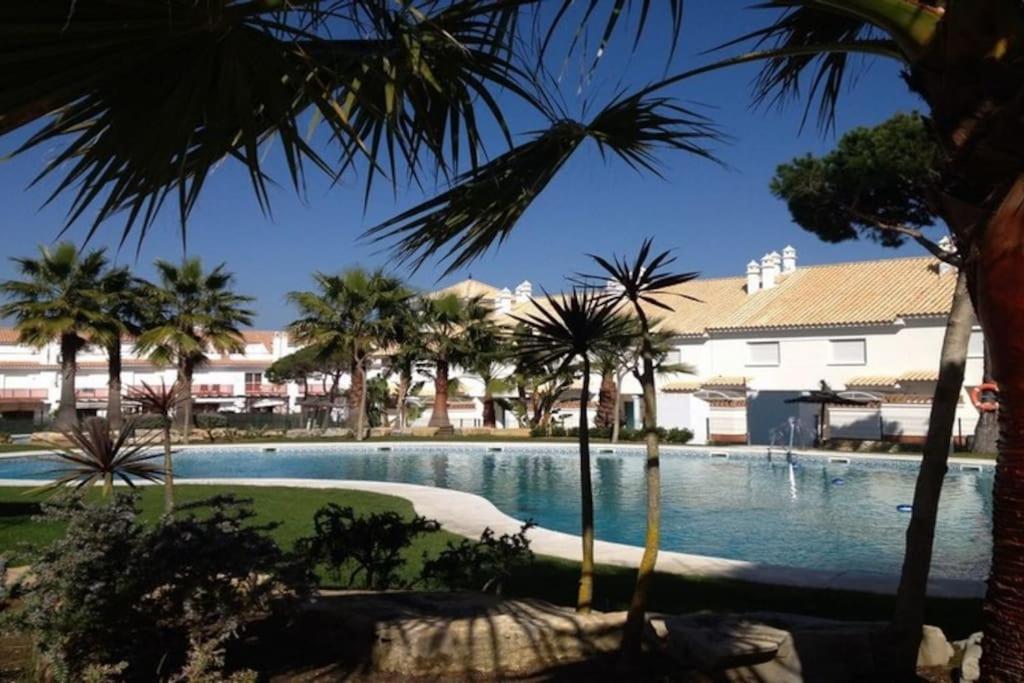 埃尔波提尔Casa de lujo en la playa frente al campo de golf的前方的棕榈树游泳池