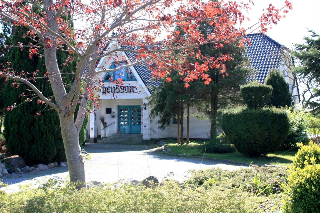 沃尔加斯特Pension Landhaus Teichgraf的前面有一棵树的白色房子