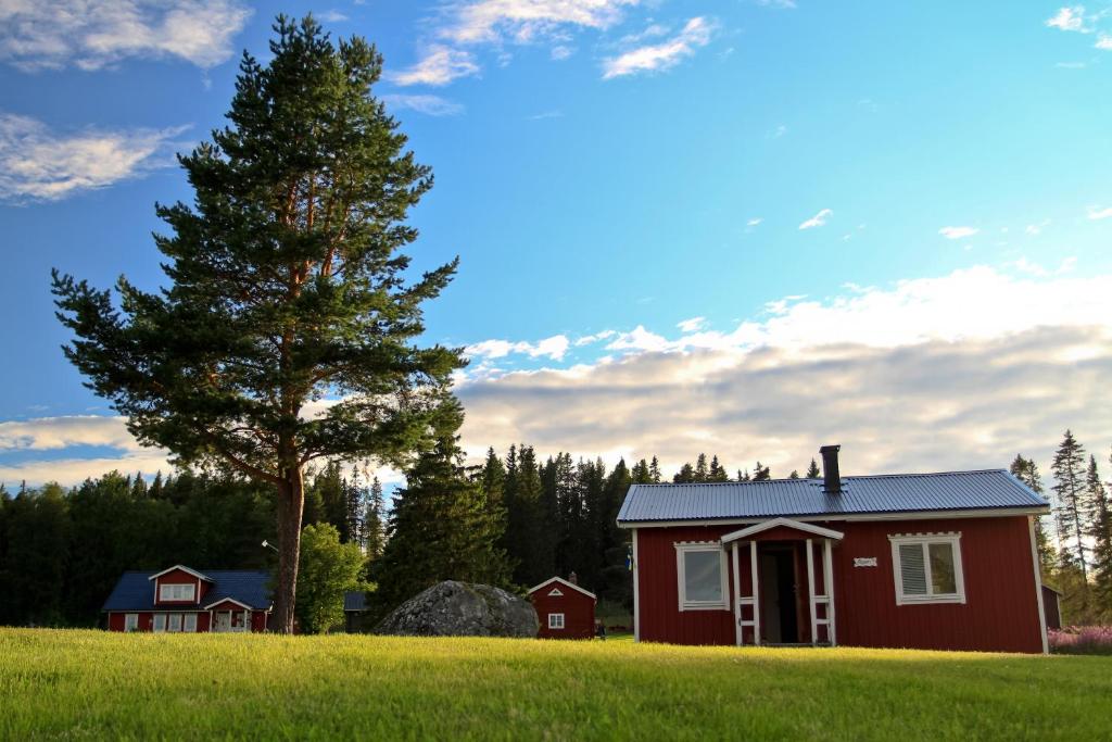 ÅseleLappland Pro Natur的田野里一棵树上的红色房子