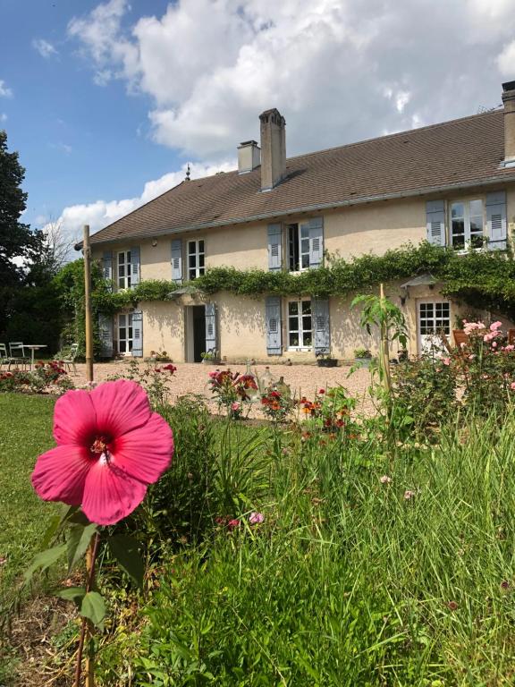 BétaucourtDealettante的房子前面的粉红色花