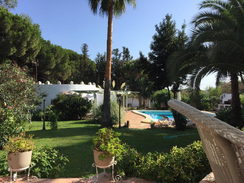 奇克拉纳－德拉弗龙特拉Finca Filpi的享有带游泳池和棕榈树的庭院的景色