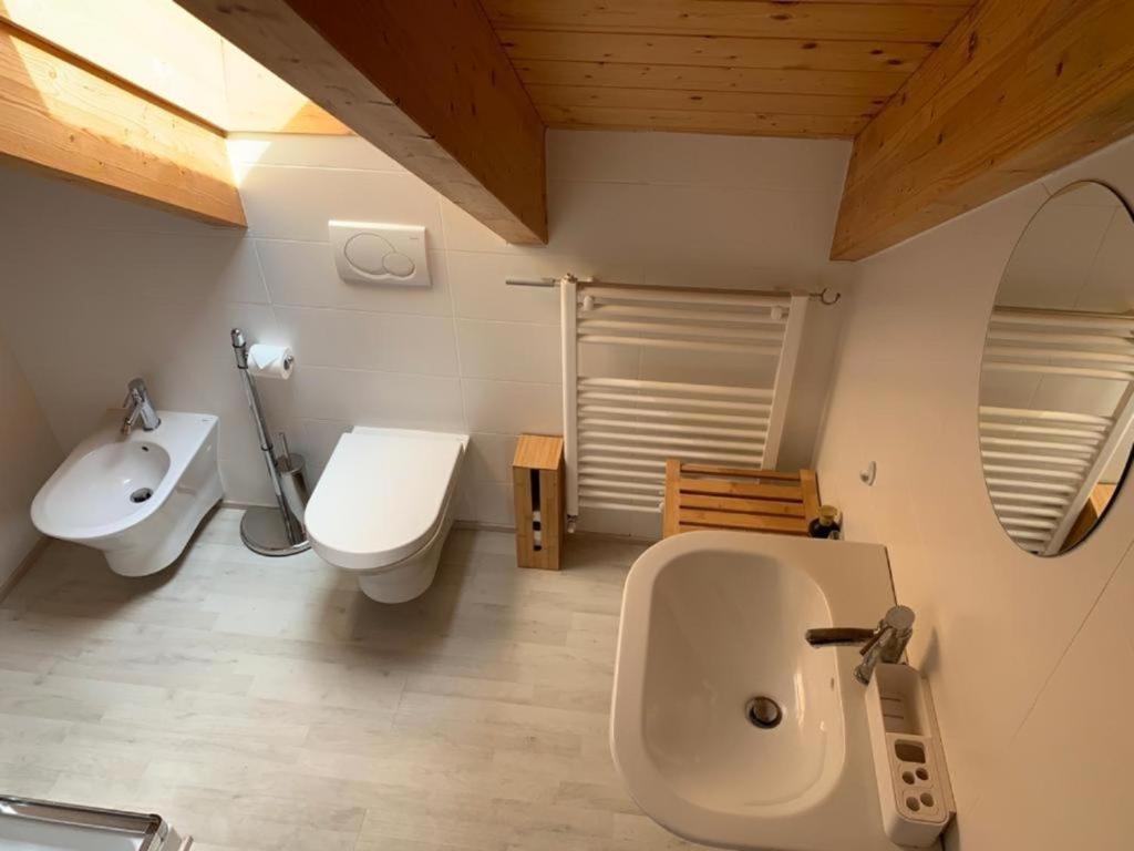 TocenoCasa Vista Monte Rosa的一间带卫生间和水槽的浴室