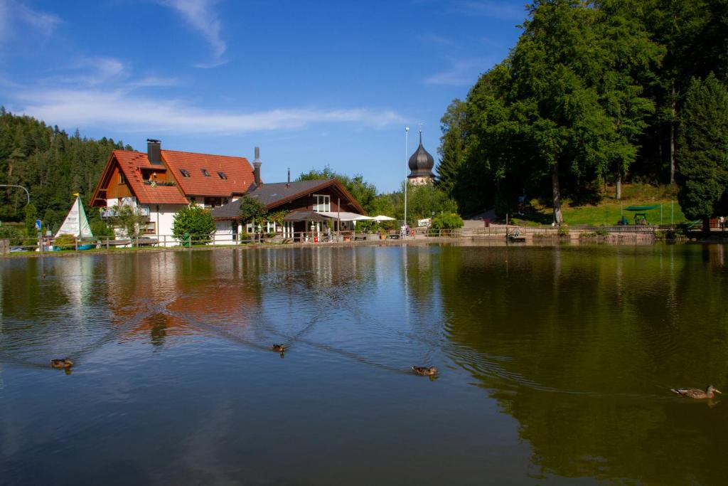 特里贝格Self-check-in Ferienwohnungen & Apartments am Bergsee的一座建筑和教堂前的湖泊