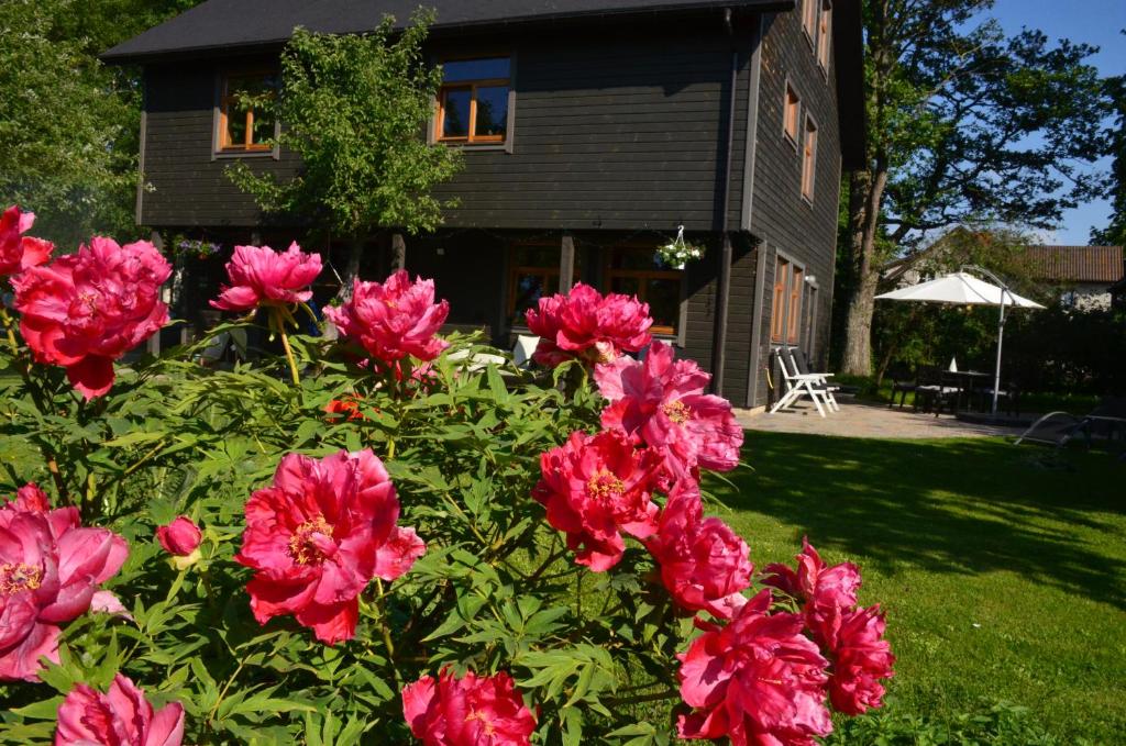 罗亚Pilava的一群粉红色的花朵在房子前面