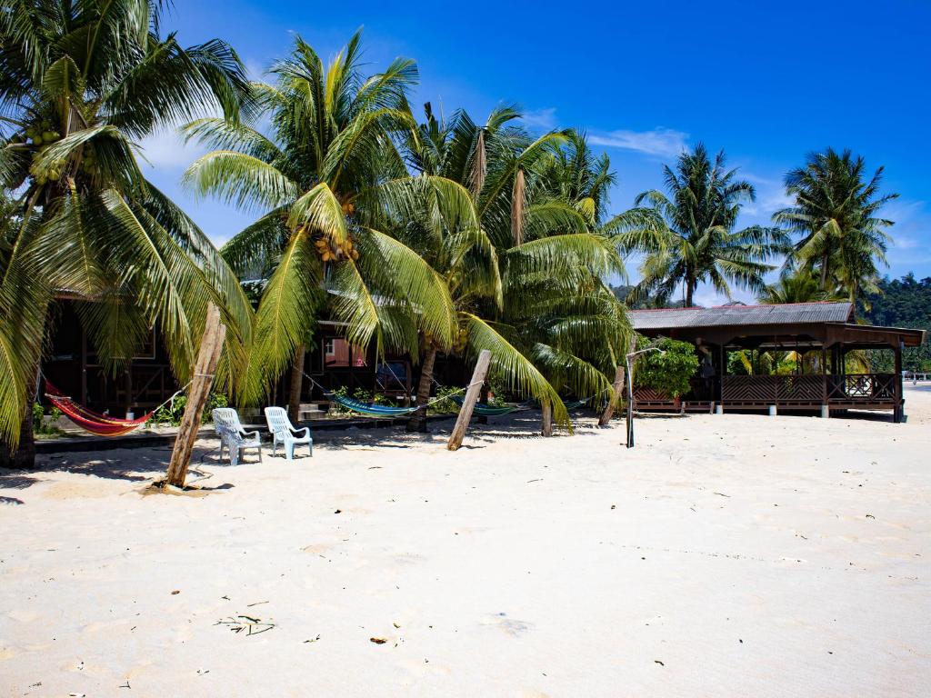 刁曼岛BUSHMAN TIOMAN的棕榈树和椅子海滩,建筑