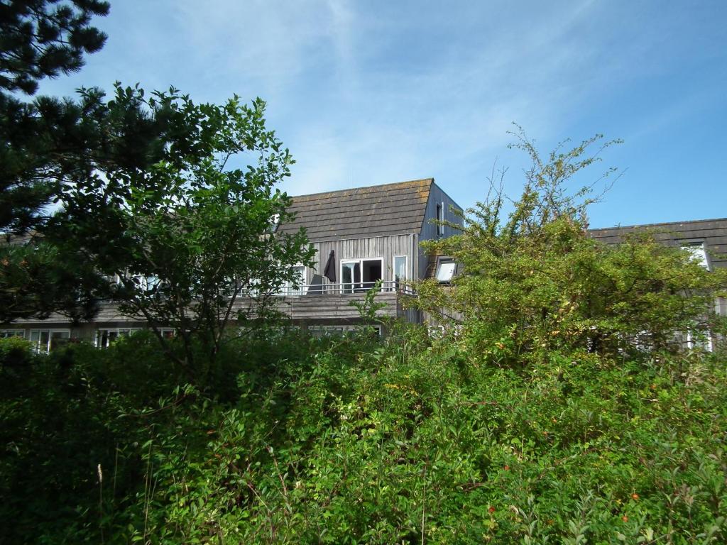 霍勒姆Hollumerduinen的一座带鹅卵石屋顶和树木的房子