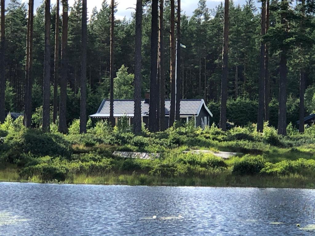 KävsjöModern lakeside cottage & boat near Isaberg的湖畔树林中的房屋