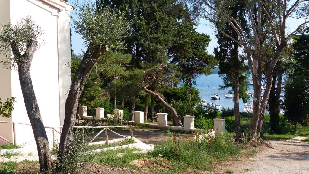 巴拉蒂I Pesci nel golfo di Baratti的一座有树木和水的墓地