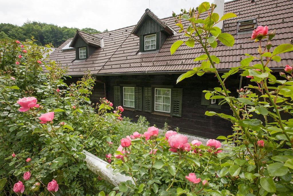 PressbaumDas Altsteirische Landhaus - La Maison de Pronegg - Feriendomizil im Biosphärenpark Wienerwald的前面有粉红色玫瑰的房子