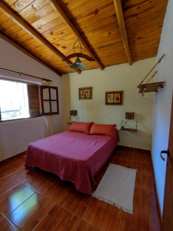 La RancheritaAlquimia en Las Cascadas的一间带一张大床的卧室,位于一个拥有木制天花板的房间