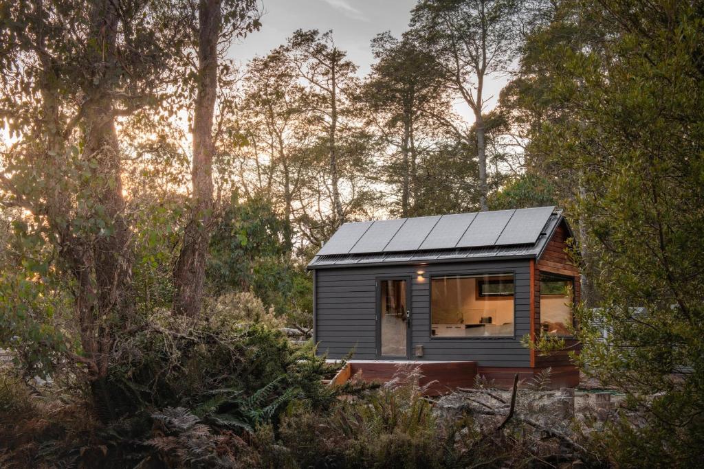 MoinaTiny Escapes Cradle Valley的树林中的一个太阳能屋顶小房子
