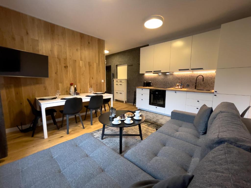 霍茹夫URBAN APARTMENTS Premium No 3 Chorzów Katowice, FREE PRIVATE PARKING的带沙发和桌子的客厅以及厨房。