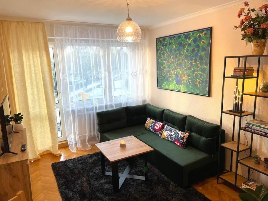 奥尔什丁Apartament pod Pawiem的客厅配有绿色沙发和桌子