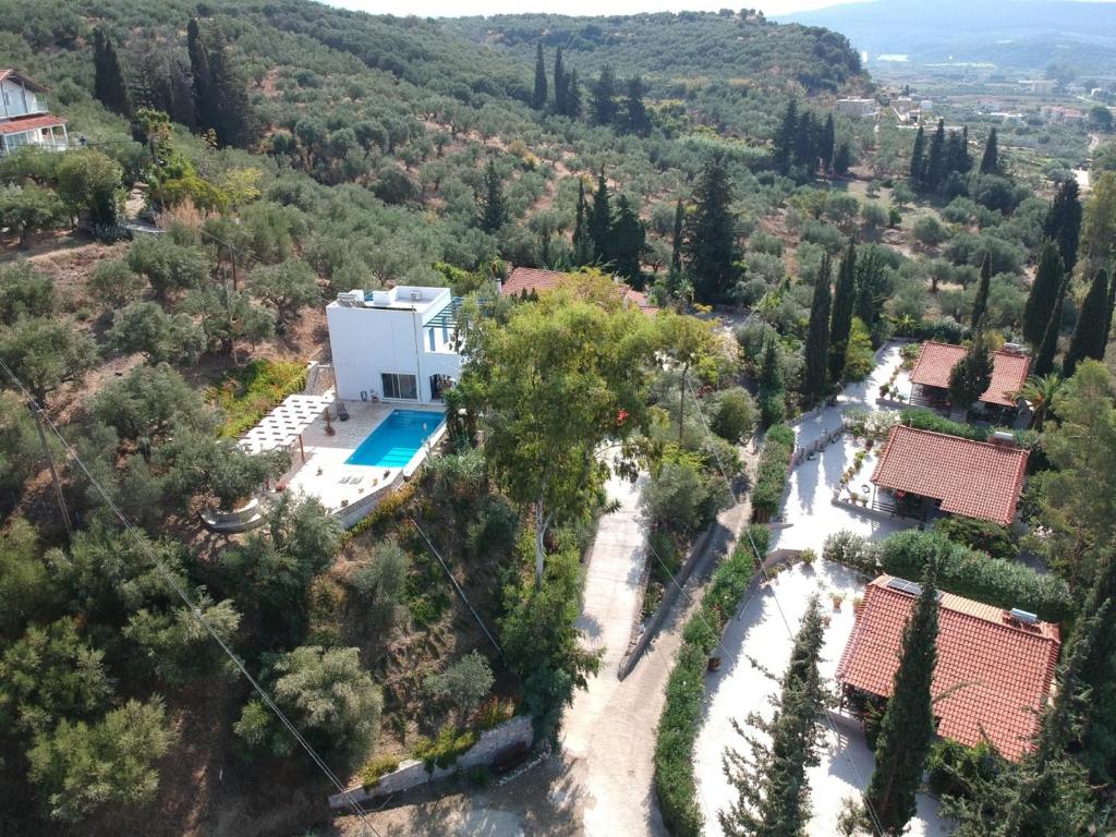 吉亚洛瓦Villa Andrea的享有带游泳池的别墅的空中景致
