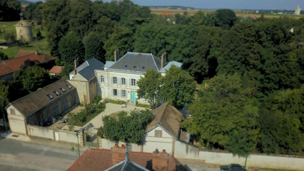 VilleblevinYXIE - Manoir des Arts的享有树木繁茂的白色大房子的空中景致