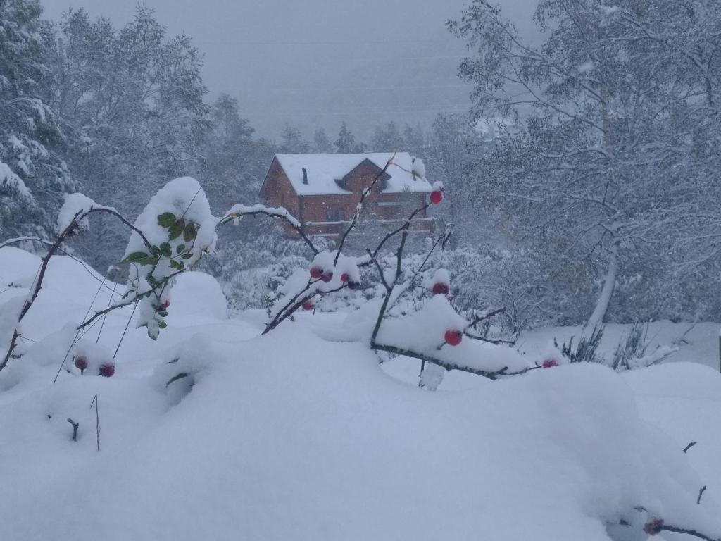 约斯皮塔莱普雷朗多尔Chalet bois au milieu des Pyrénées的一座有雪盖的院子,后面有一座房子