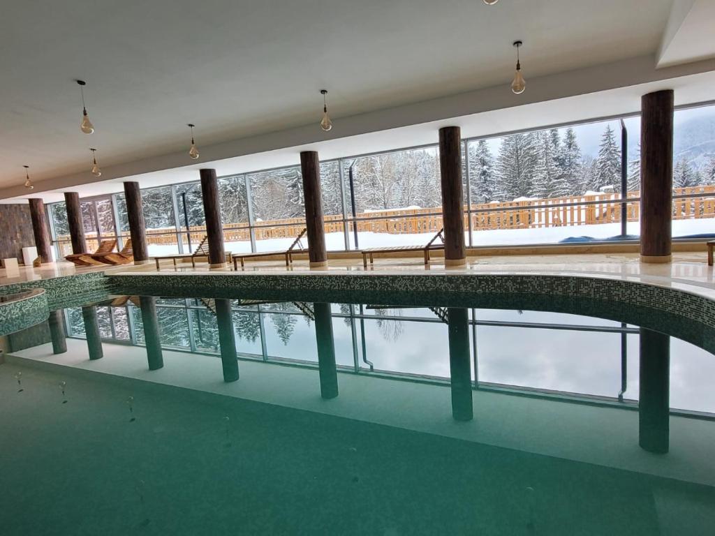 布拉索夫7Soapte的享有雪景的游泳池