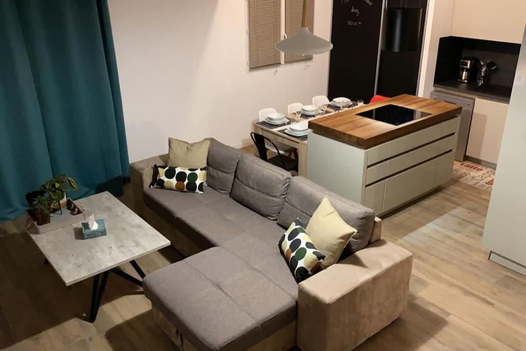 AussonneMEET - AIRBUS - TRAMWAY的带沙发的客厅和厨房