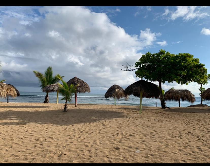 圣斐利-银港Mar azul puerto plata的海滩上拥有遮阳伞和棕榈树,还有大海