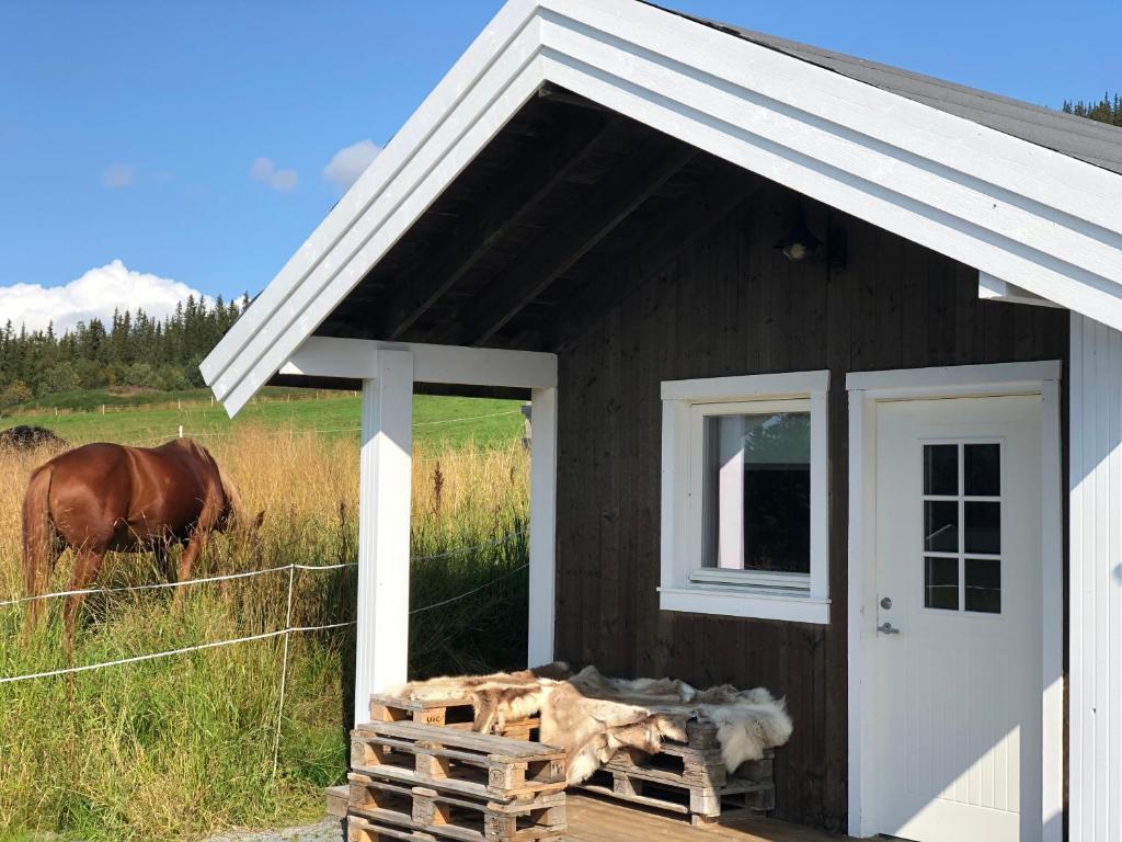 SkammesteinHytte på Myhre Gård的一座带白色门的谷仓,田野里有一匹马