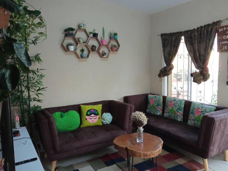 松索纳特La Casa Del Pinito的客厅配有2张棕色沙发和1张桌子