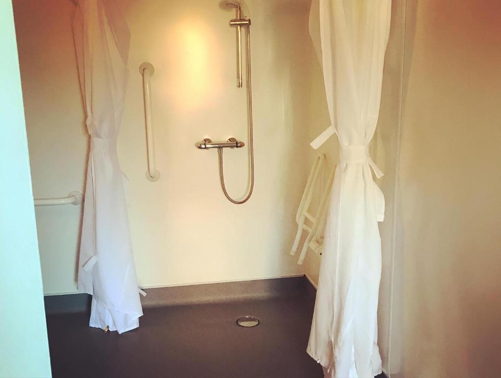 纽波特The Swan Inn Newport的带淋浴和浴帘的浴室