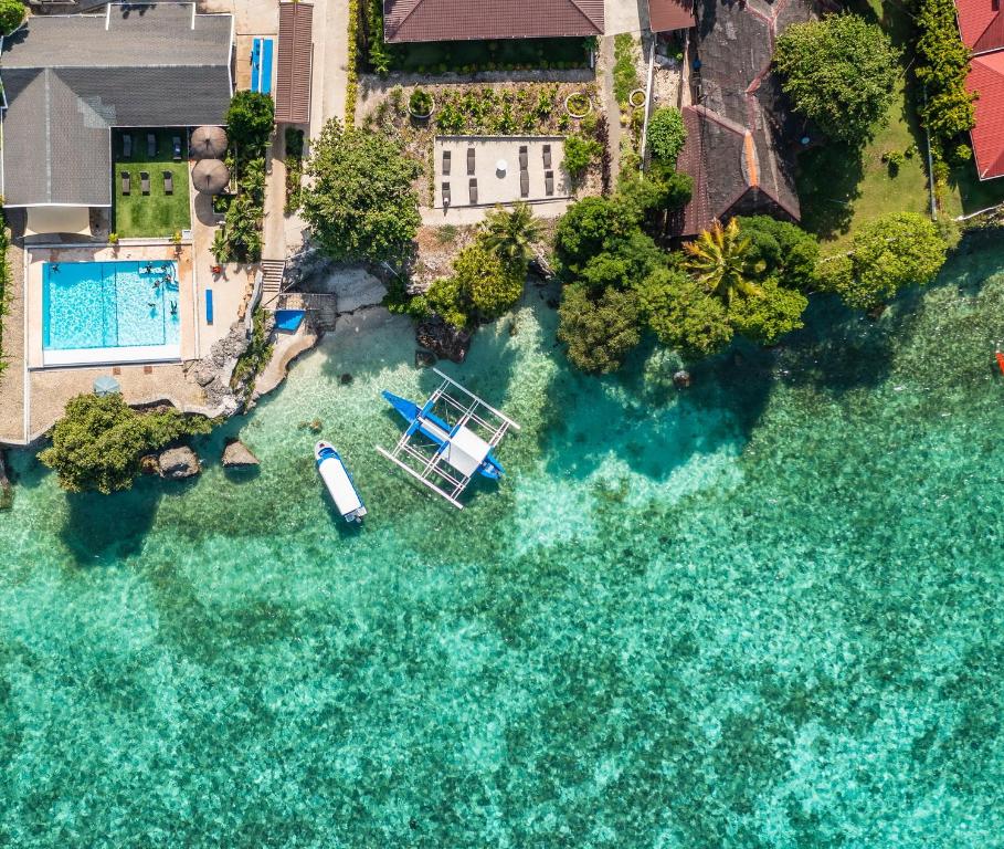 莫阿尔博阿Cebu Seaview Dive Resort的享有泳池的空中景致,在水中划船