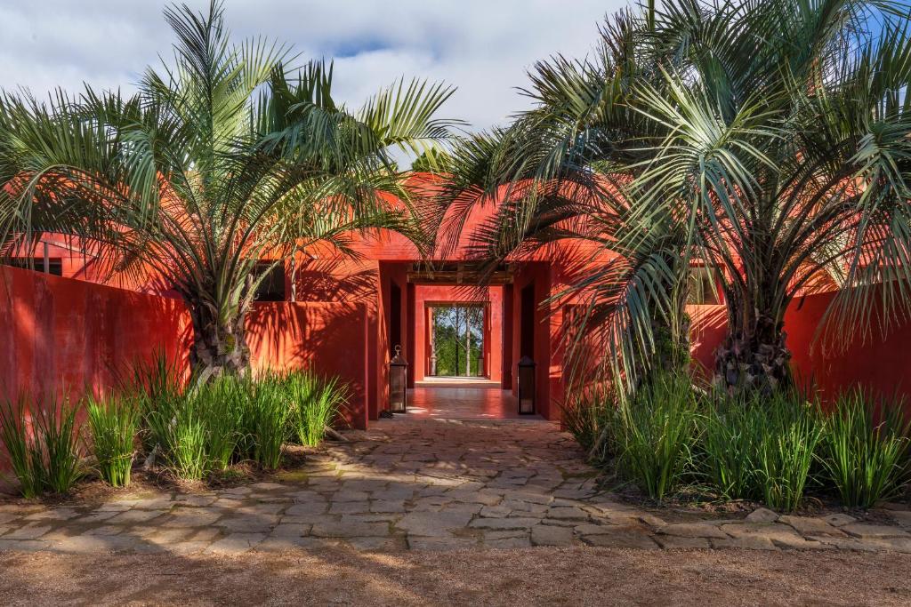 何塞伊格纳西奥LUZ Culinary Wine Lodge的门前有棕榈树的红色房子