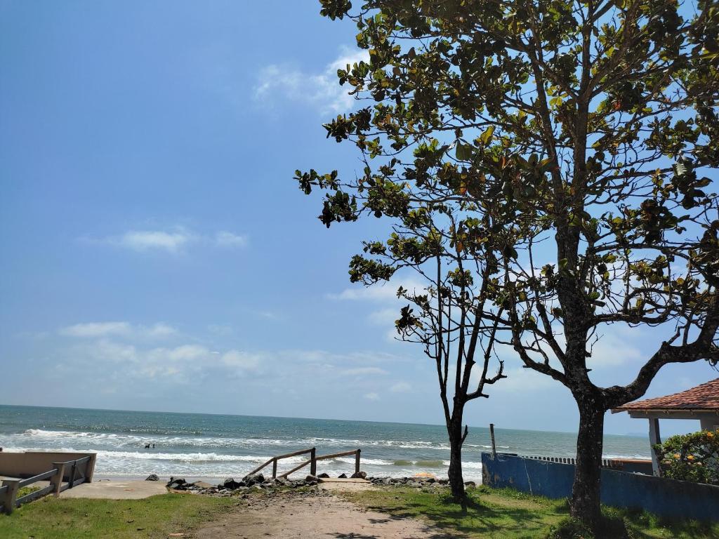 伊塔波阿Casa Brisa do Mar Itapoá conforto à uma quadra da praia的两棵树和大海的海滩