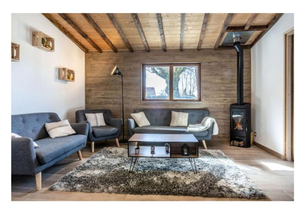 依瓦勒Le chalet du Leman - Vue lac - Yvoire的带沙发和炉灶的客厅