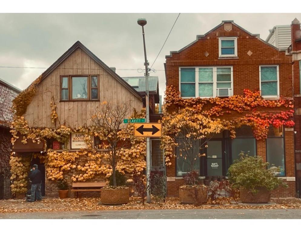 芝加哥雷巴克镇住宿加早餐旅馆的前边有树叶的街道上的房子
