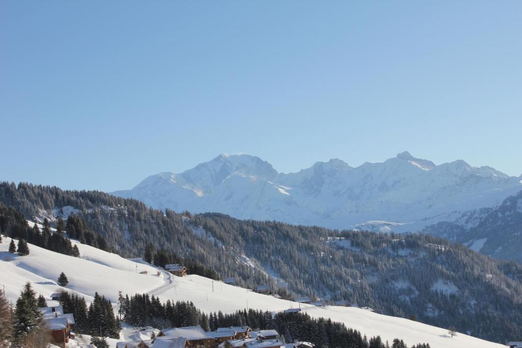 维拉尔叙尔多龙La Perle Des Alpes C2的山间雪覆盖着房屋和山脉