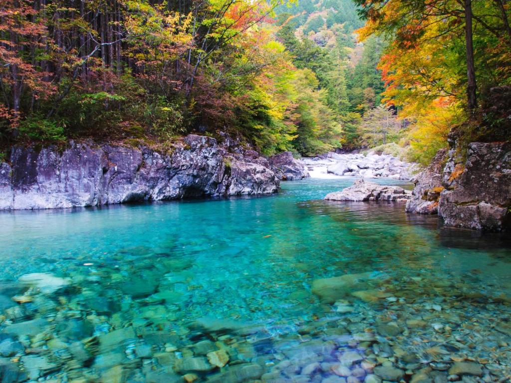 Okuwa阿寺温泉 フォレスパ木曽あてら荘的森林中清澈 ⁇ 蓝的河流