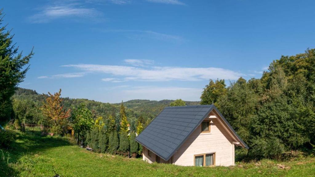 PieszyceDomek Na Leśnym Wzgórzu的田野上黑屋顶的小房子