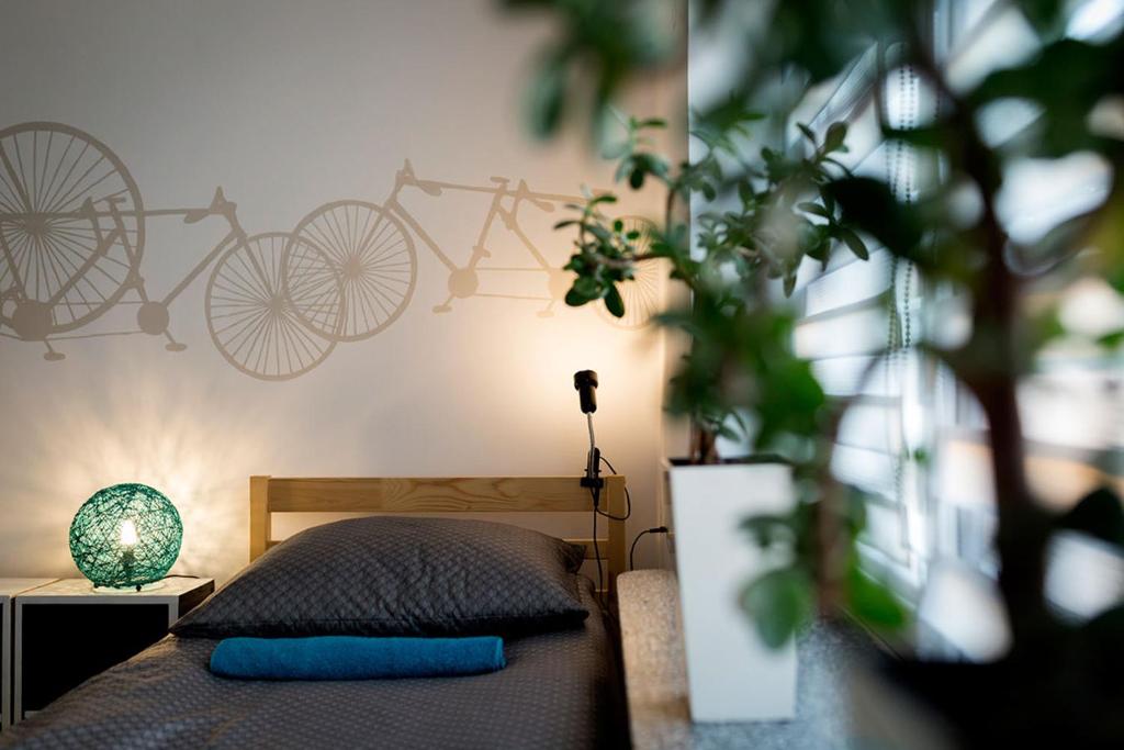 扎莫希奇APARTAMENT 16的卧室配有一张壁挂式自行车床