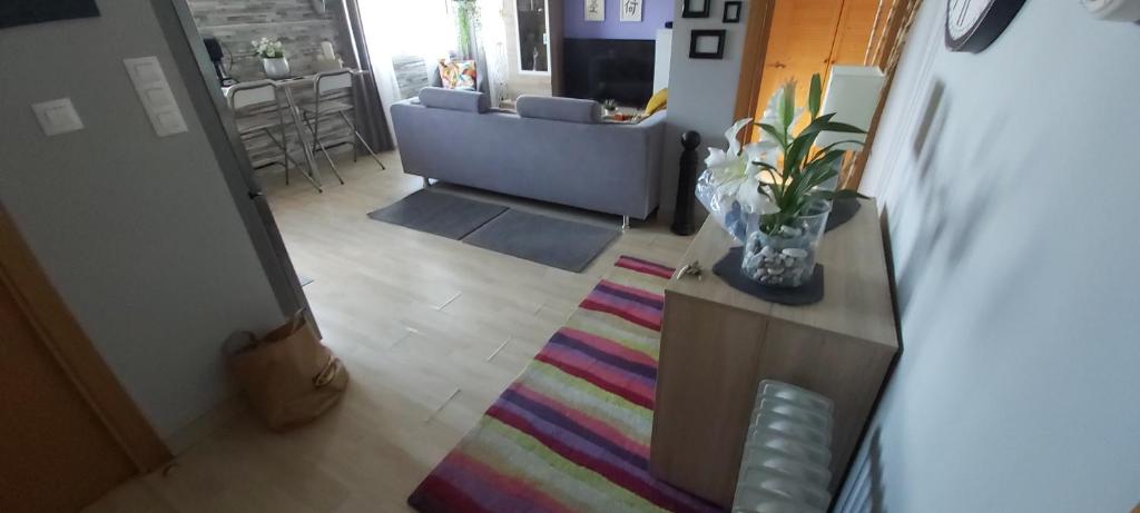 拉科鲁尼亚Mi casita的客厅配有沙发和色彩缤纷的地毯