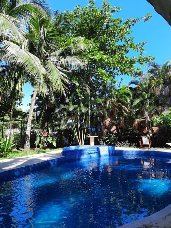 别霍港Casitas Joanna的一座种植了棕榈树的蓝色游泳池