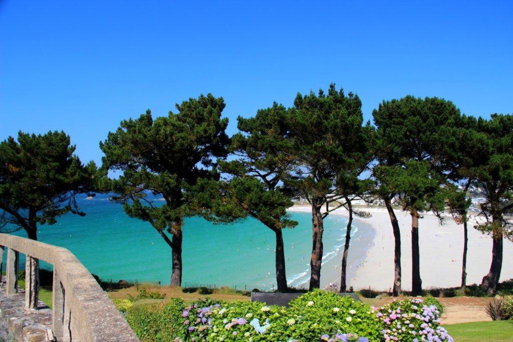 特雷沃 - 特雷吉涅克Grand LARGE FACE A LA PLAGE TRESTEL的享有树木繁茂的海滩和大海的景致。