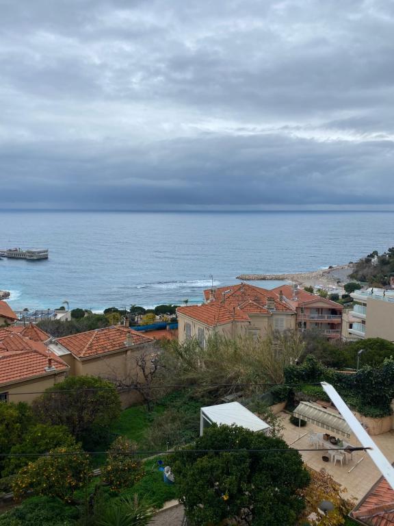 卡普戴尔Charmant deux pièces aux portes de Monaco的城市的海景