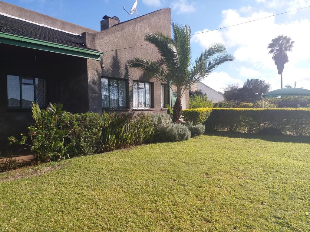 哈拉雷The Best Green Garden Guest House in Harare的院子前有棕榈树的房子