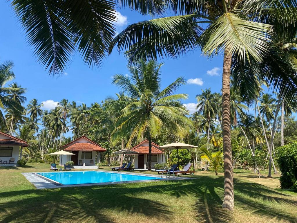 HunumullaAmbarella Lodge - Katunayake的一座别墅,设有游泳池和棕榈树