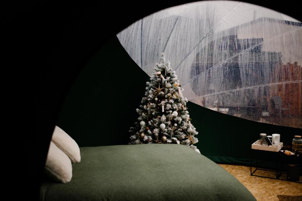 布永Bulle Time Flies - logement insolite的绿沙发上方的圣诞树