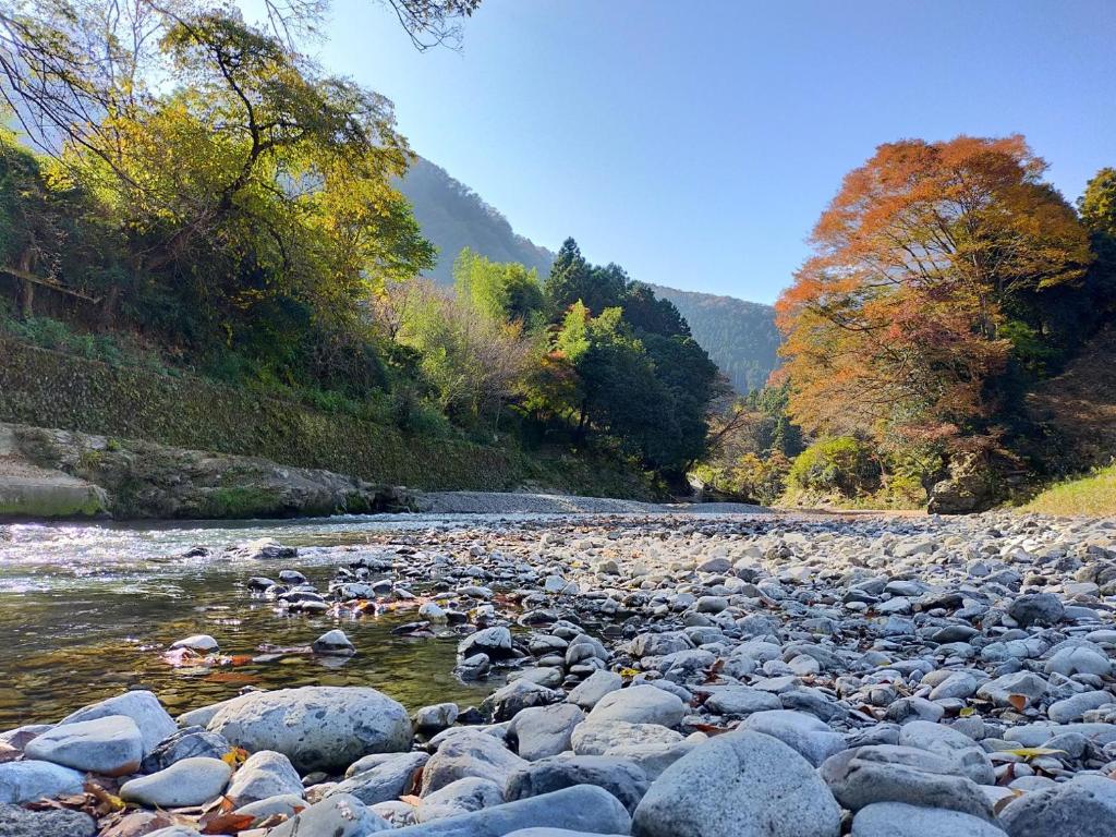 秋留野大津大自然公园旅馆的一条有岩石和树木的河流