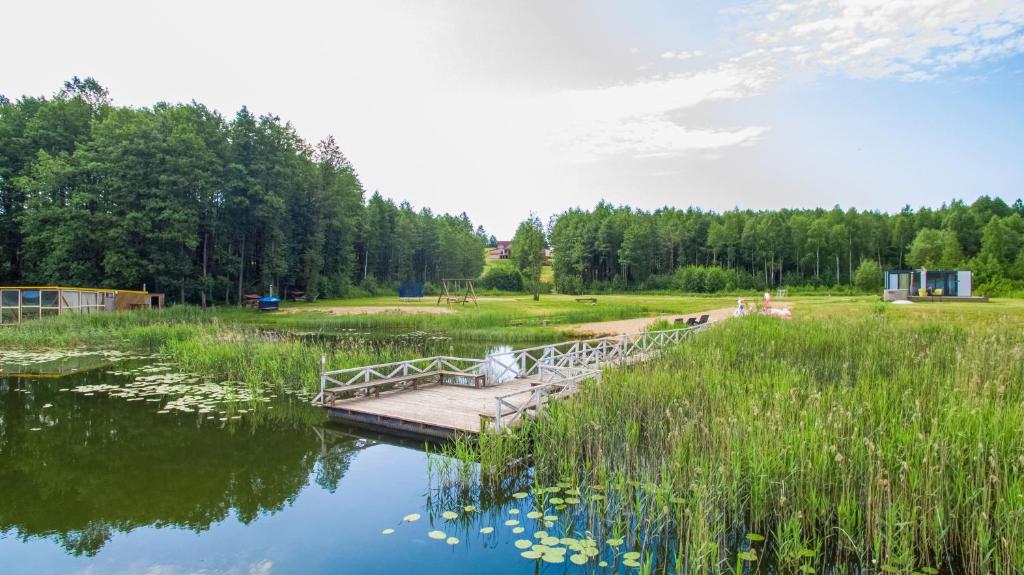 AntakalnisSodybos kompleksas - ECO Resort Trakai的一座木桥,在池塘上,有水 ⁇ 