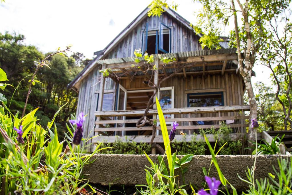 科罗曼德镇Fern Lodge Coromandel的前面有鲜花的小木屋