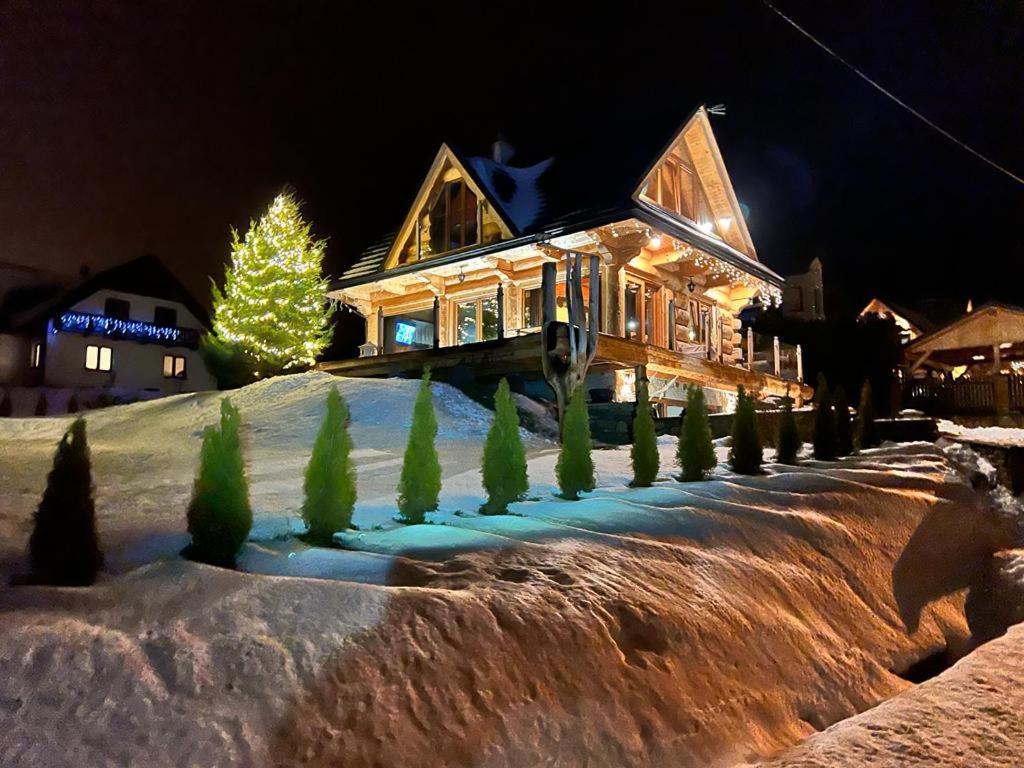 OrawkaDomek Nad Doliną的雪中有一棵圣诞树的房子