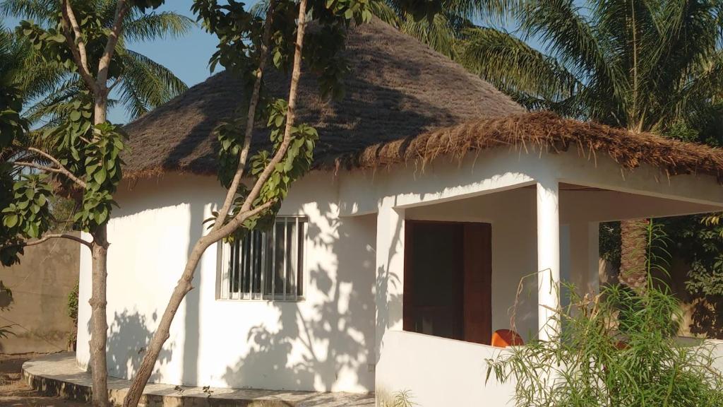 斯基灵角Case traditionnelle diola au bord de l'océan的茅草屋顶的白色小房子