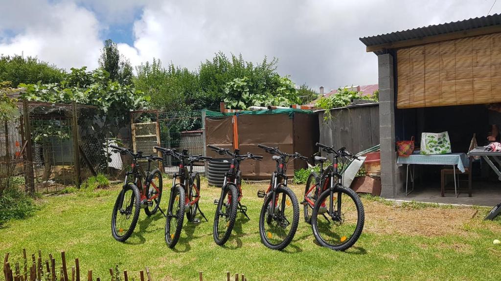 勒唐蓬VEL'HAUTS RUN的停在院子里的一群自行车