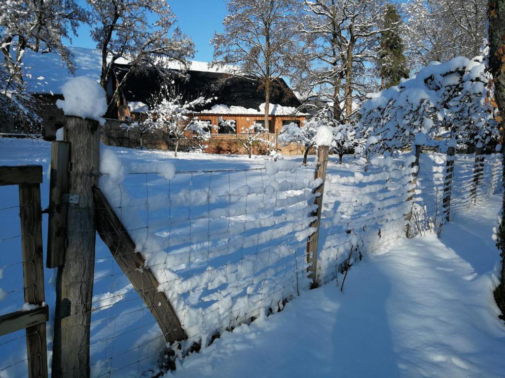 AchenheimGite spacieux et cosy à la campagne proche de Strasbourg的房屋前有雪覆盖的栅栏